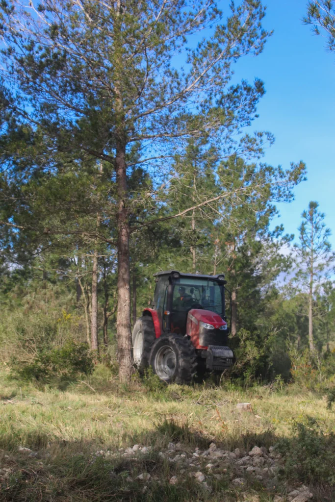 Img 0202 43 | FORESTA GESTION FORESTAL SOCIEDAD LIMITADA
